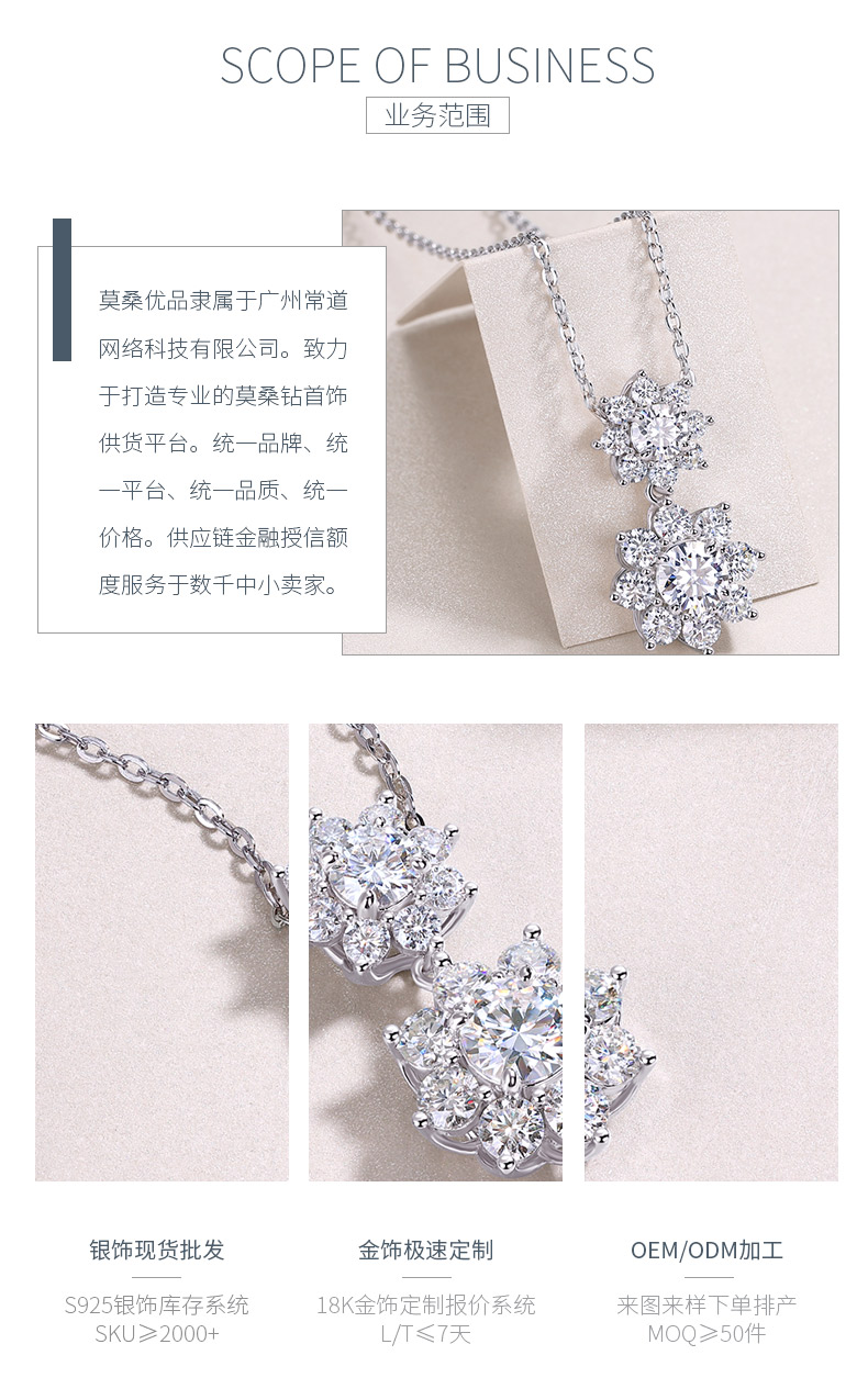 N15297款银镀18K白金莫桑钻项链1.0CT - 3