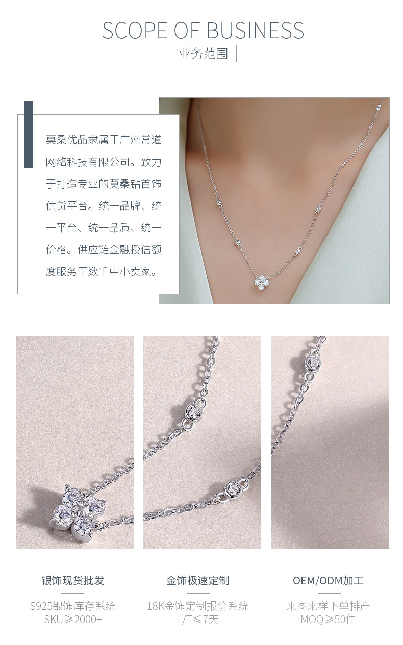 N13646款银镀18K白金莫桑钻项链0.1ct - 3