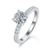 港码15