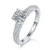 港码15#