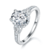 港码15