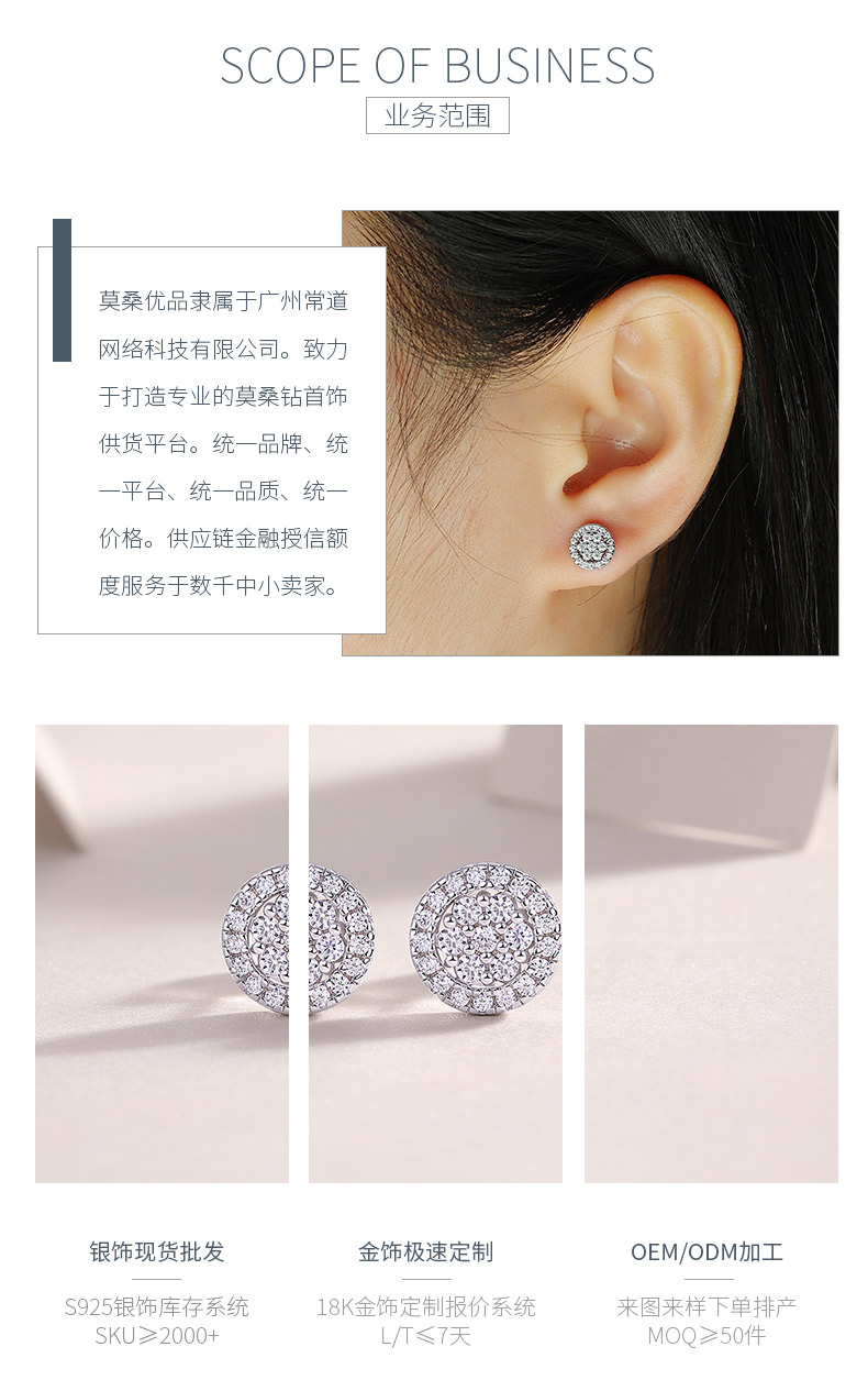 E13481款S925银镀18K白金莫桑钻耳钉0.4ct - 3