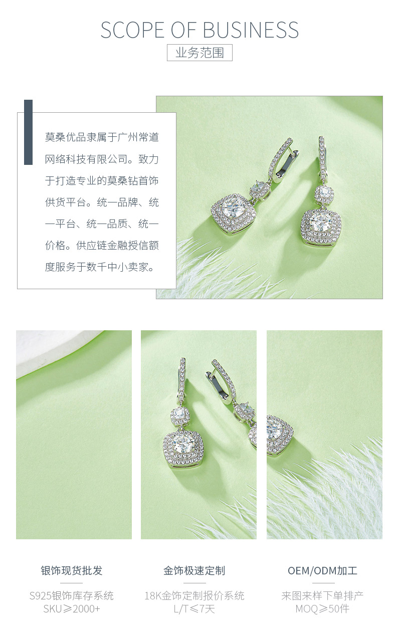 E220801007款S925银镀18K白金圆形莫桑钻耳环1.0CT/粒 - 3