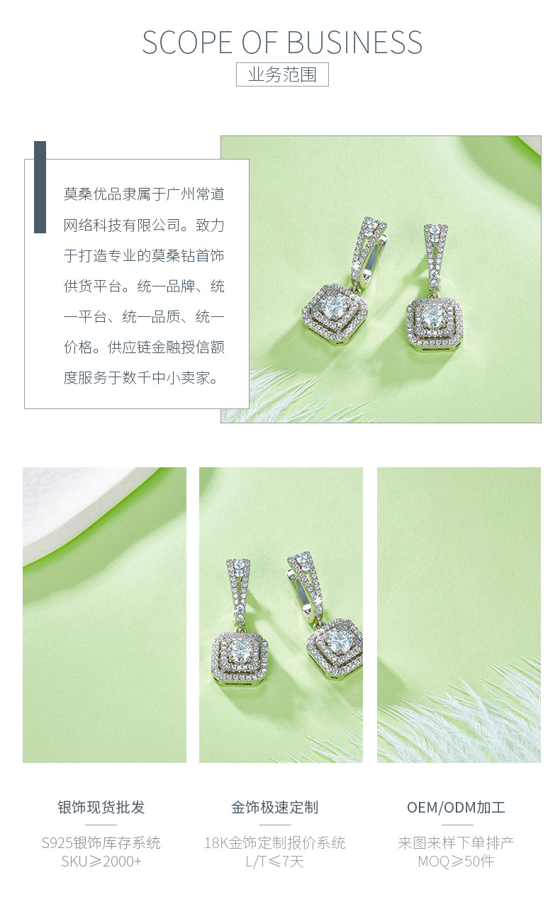 E221225013款S925银镀18K白金方围圆形莫桑钻耳环0.5CT/粒 - 3