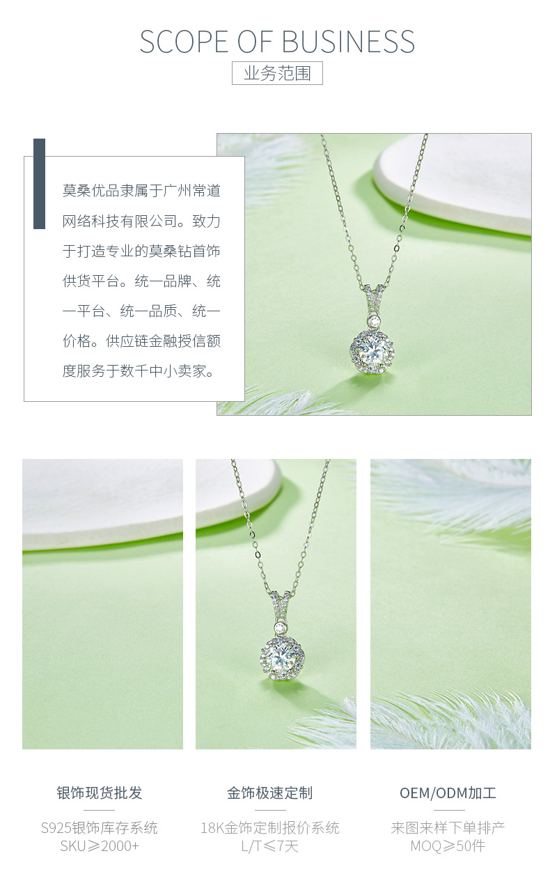 P230303014款S925银镀18K白金花型项链莫桑钻1.0CT - 3