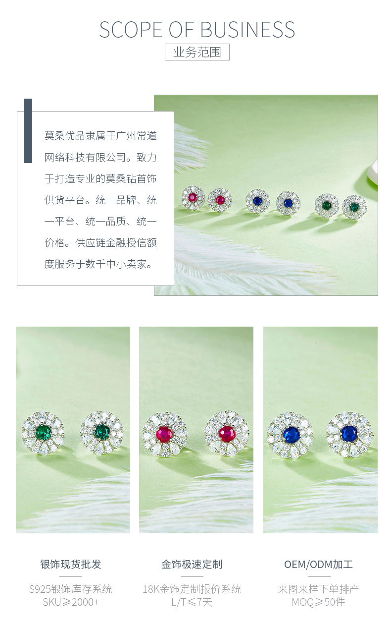 DSYP27款S925银镀18k白金合成彩宝耳钉 - 3