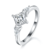 港码15