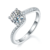 港码15