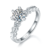 港码15#