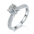 港码15