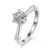 港码15
