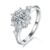 港码15