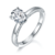 港码15