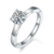 港码15