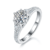 港码15