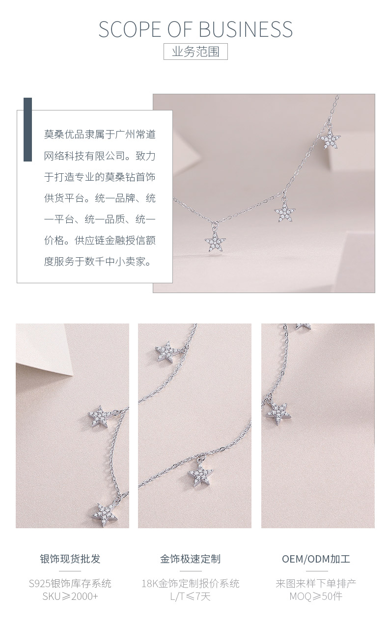 N13682款S925银镀18K白金满天星莫桑钻项链0.49ct - 3