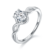 港码15