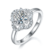 港码15