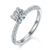 港码15