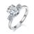 港码15