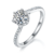港码15