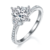 港码15