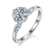 港码15