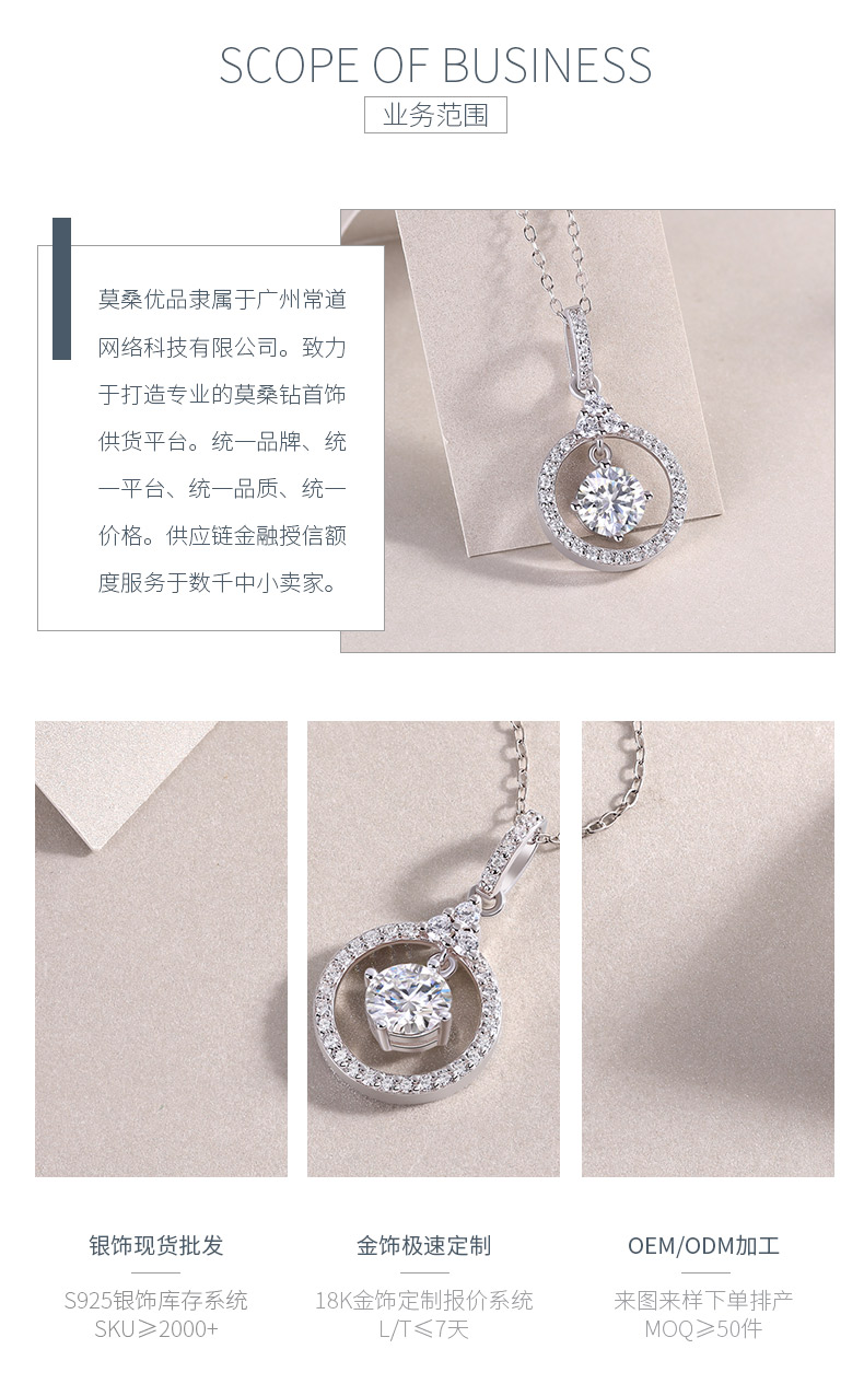 P13587-6.5款S925银镀18K白金莫桑钻圆形吊款项链1.0ct - 3