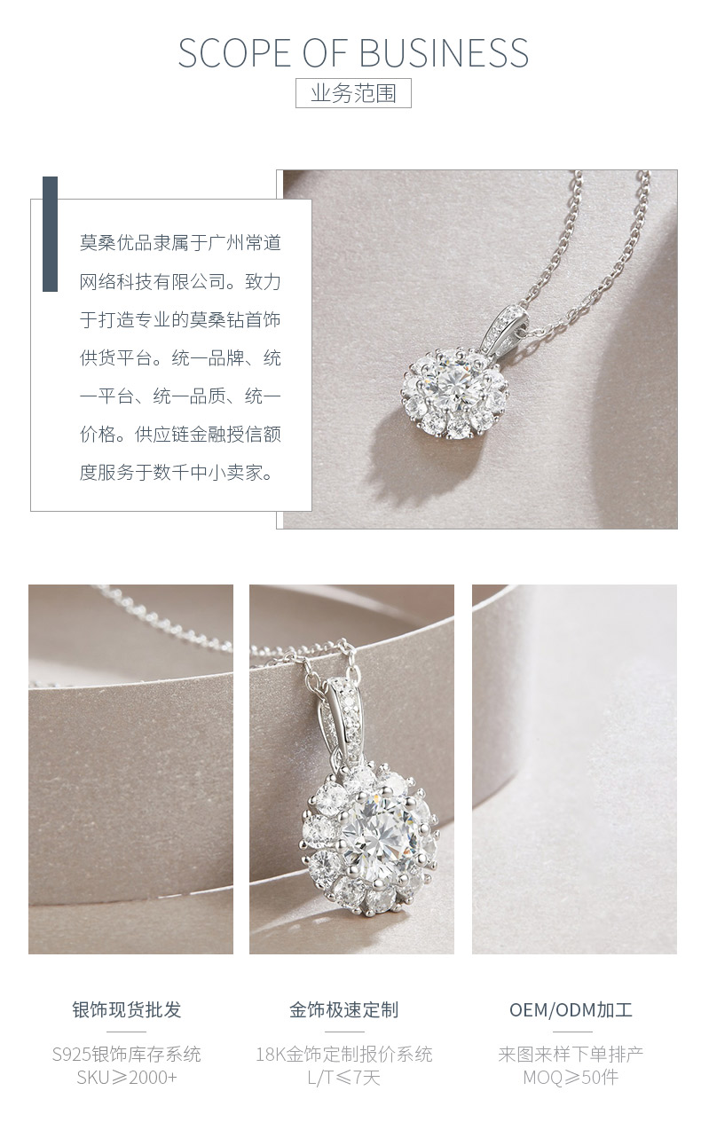 P13529-6.5款S925银镀18K白金莫桑钻绽放光芒项链1.0ct - 3
