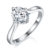 港码15