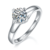 港码15
