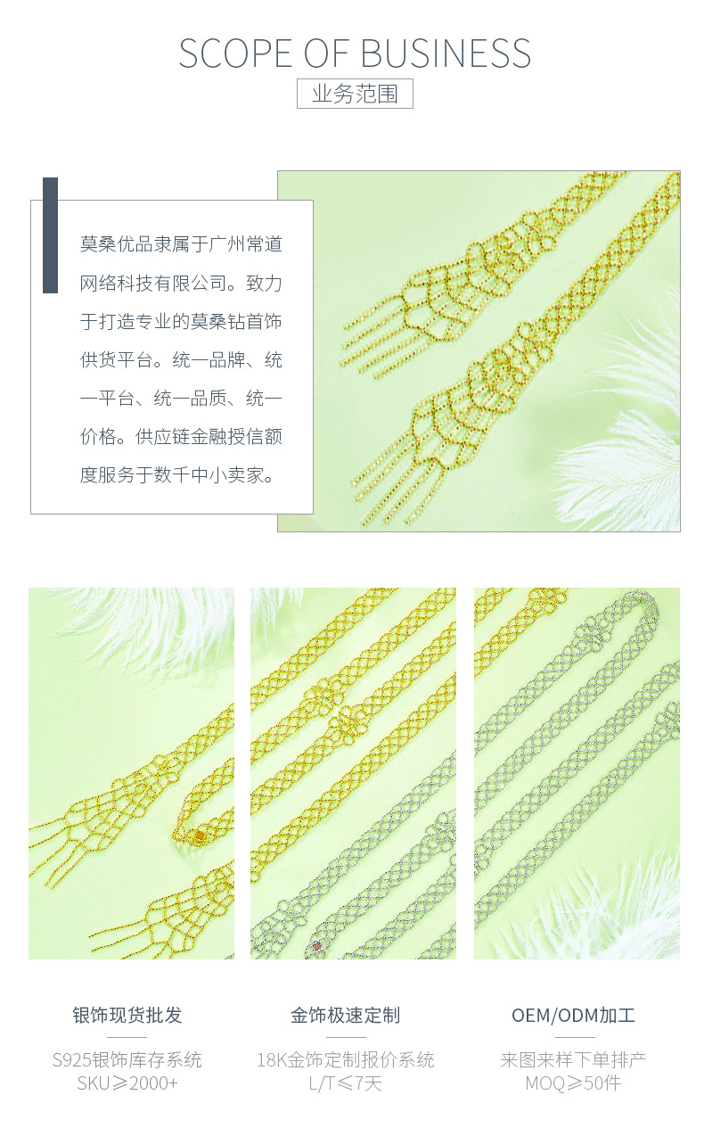 N001款S925银镀18K金意大利蕾丝工艺编制毛衣链 - 3