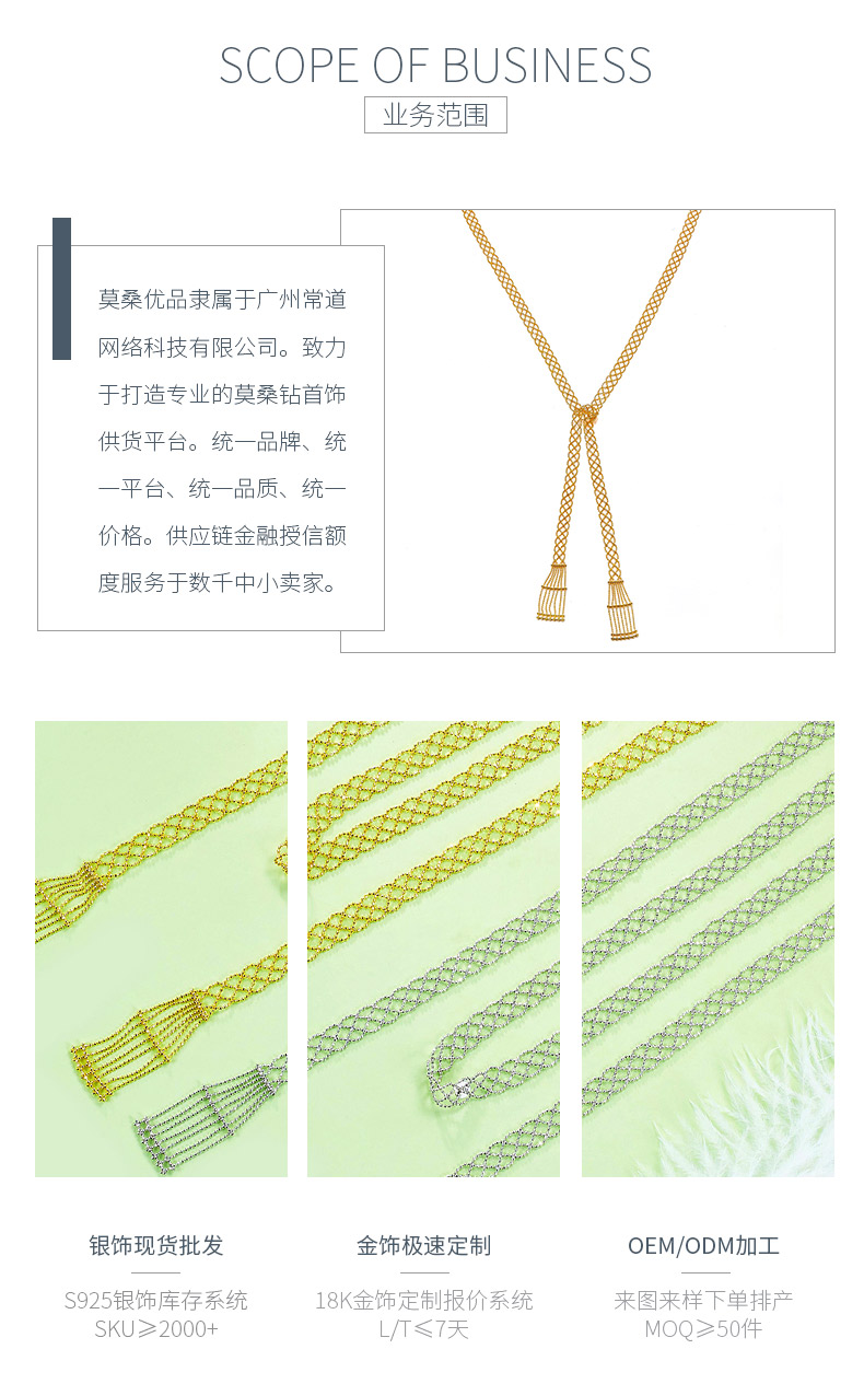 N002款S925银镀18K金意大利蕾丝工艺编制长款项链 - 3
