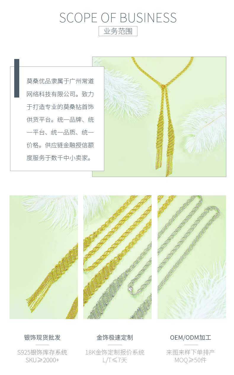 N003款S925银镀18K金意大利蕾丝编制工艺长款项链 - 3