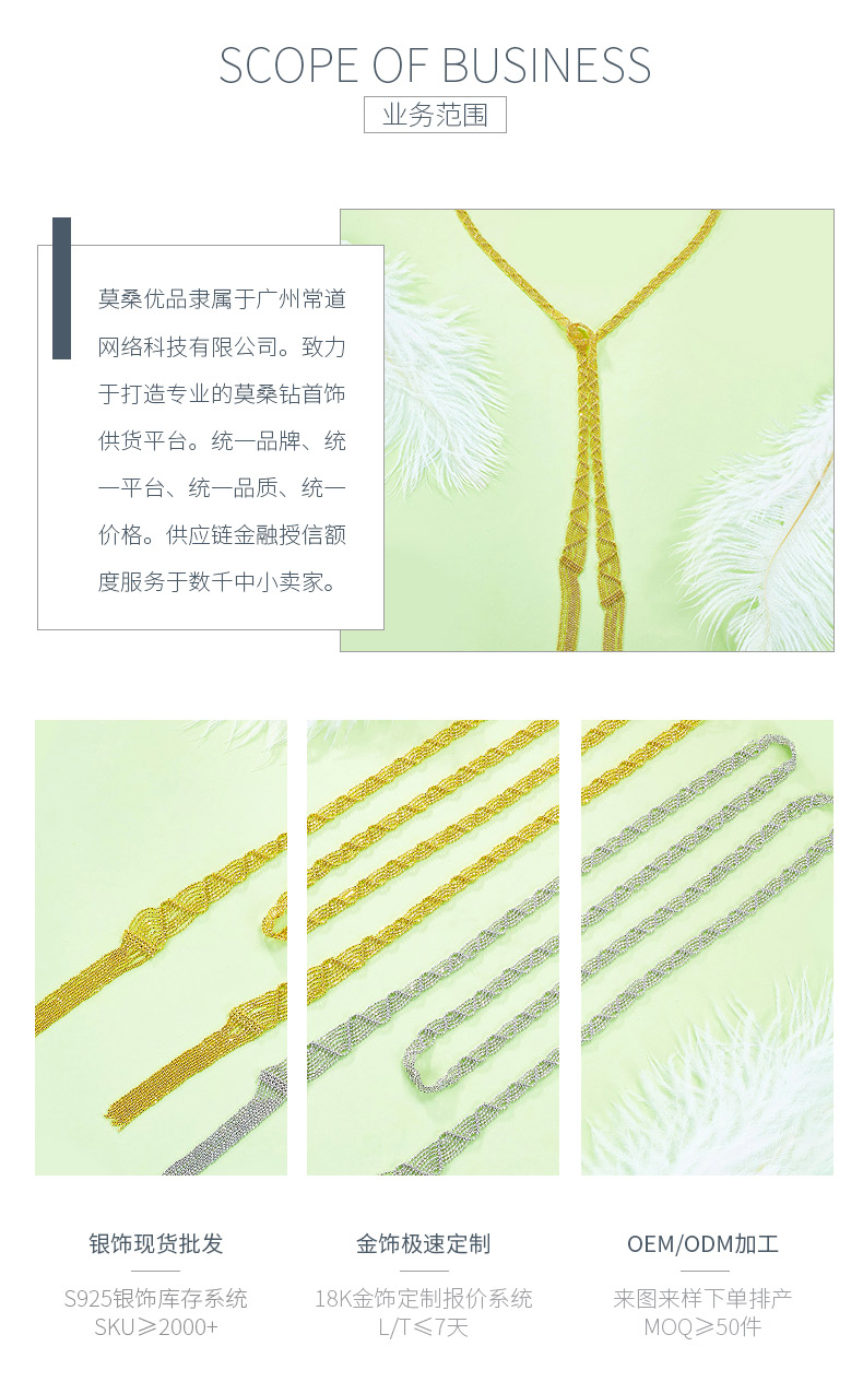 N004款S925银镀18K金意大利蕾丝编制工艺长款项链 - 3