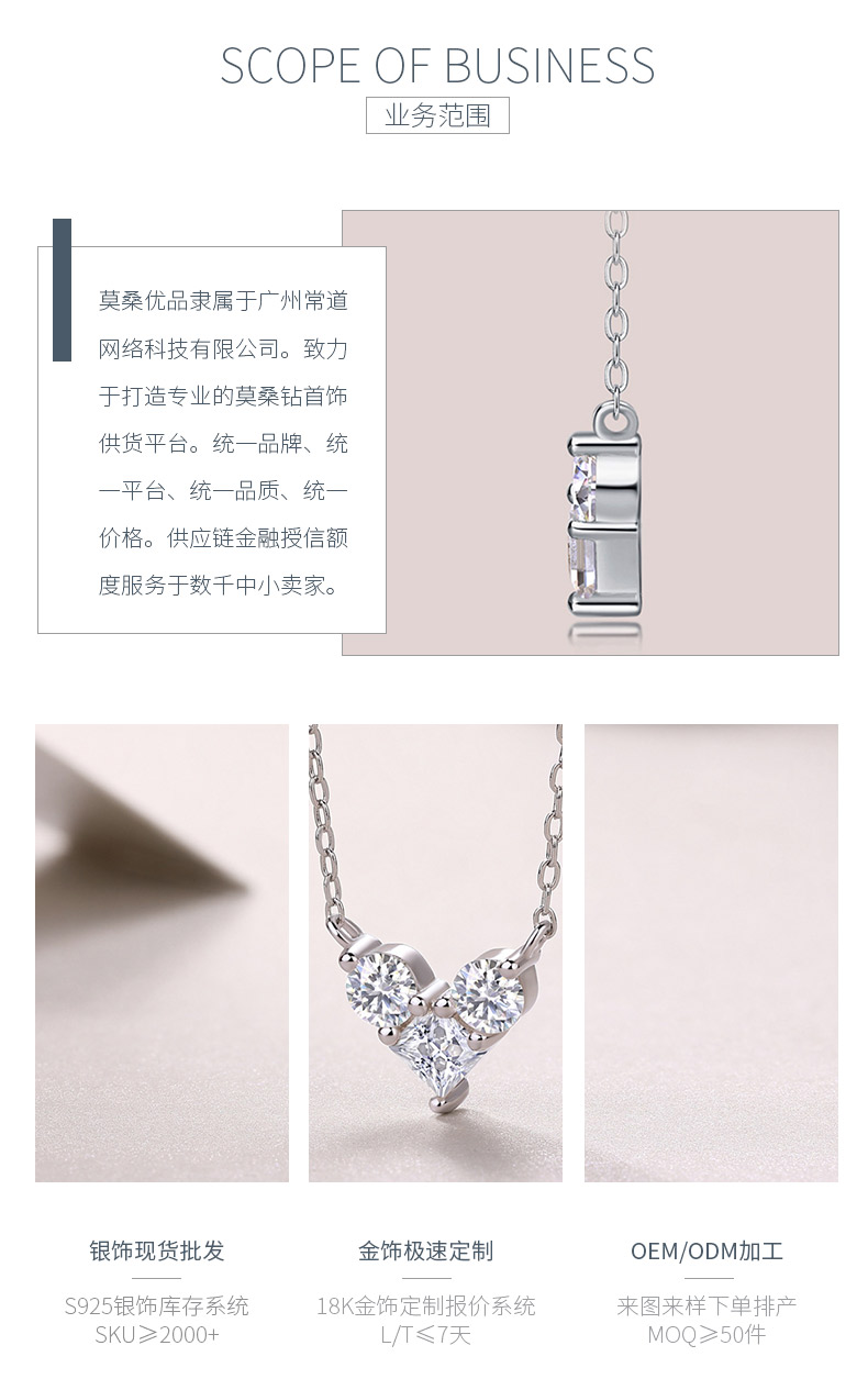 N13103款S925银镀18K白金莫桑钻爱心项链1.0ct - 3
