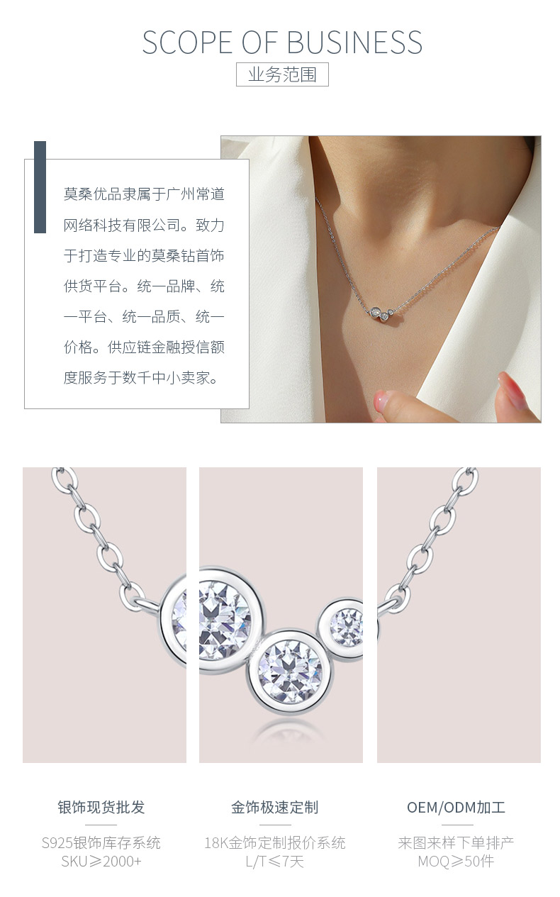 N13205-40款S925银镀18K白金莫桑钻简约锁骨链0.43ct - 3