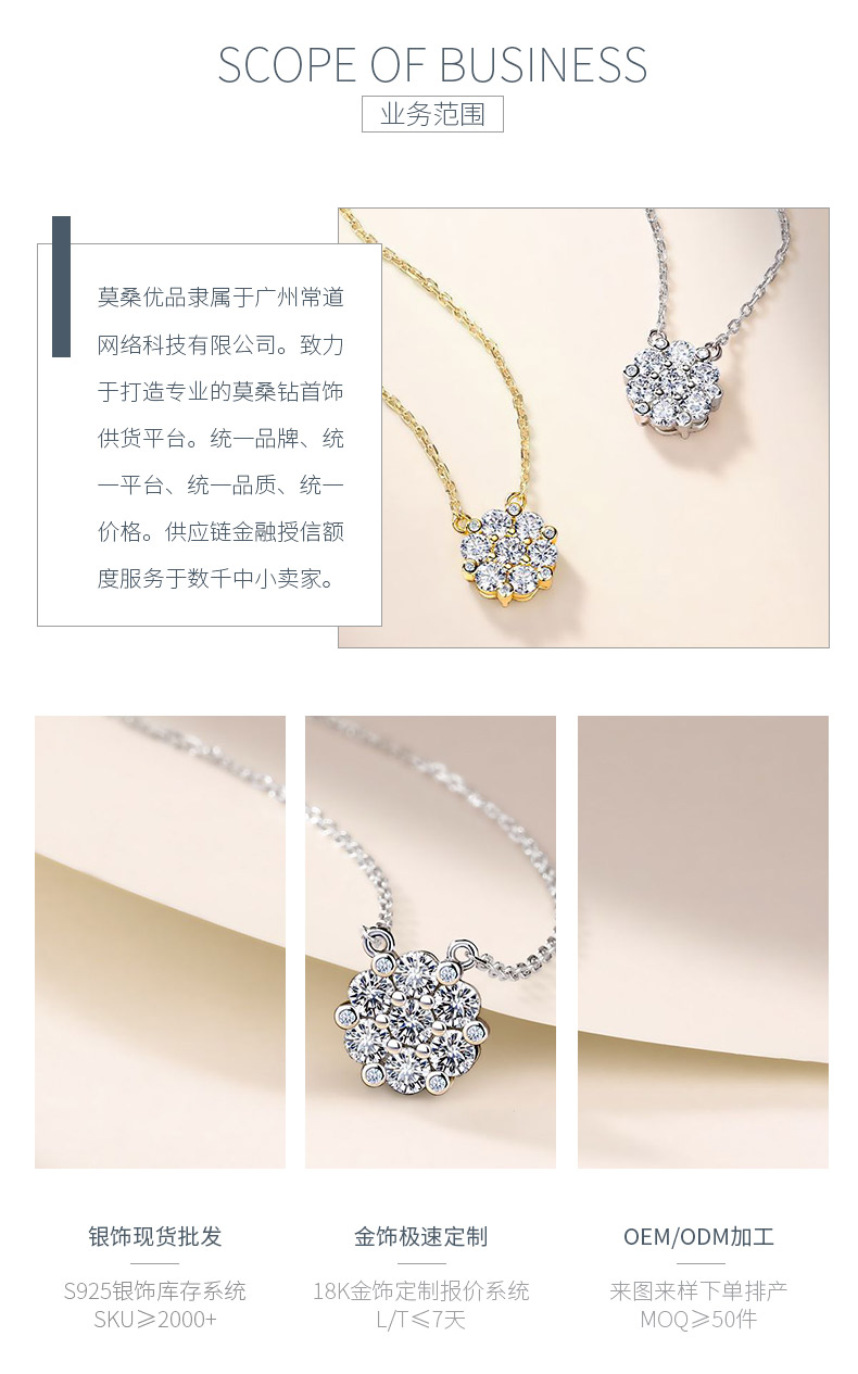 SN0243802款S925银镀18K金莫桑钻花团锦簇项链0.74ct - 3