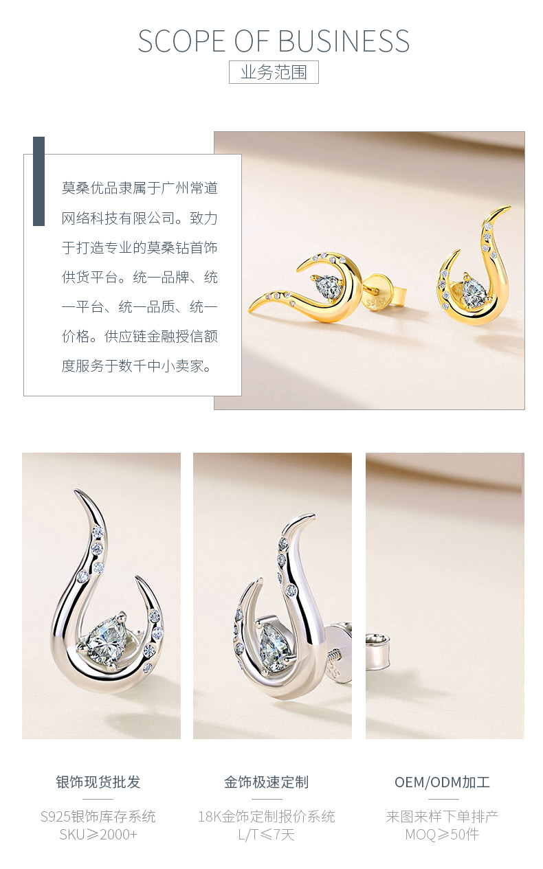 SE0722804款S925银镀18K金莫桑钻个性耳钉0.7ct - 3