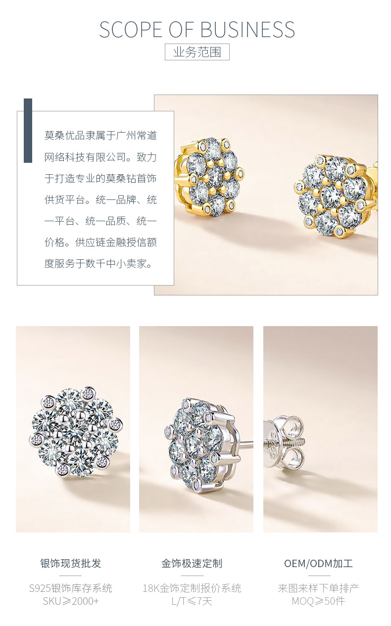 SE0126508款S925银镀18K金莫桑钻花团锦簇耳钉1.5ct - 3