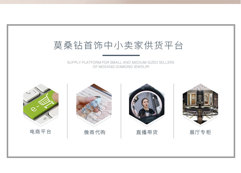 SN0217402款S925银镀18K金莫桑钻时尚项链0.9ct - 2