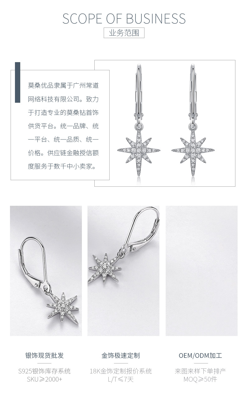 E52582-BMC款银镀18K白金圆形莫桑钻八芒星耳环0.4ct - 3
