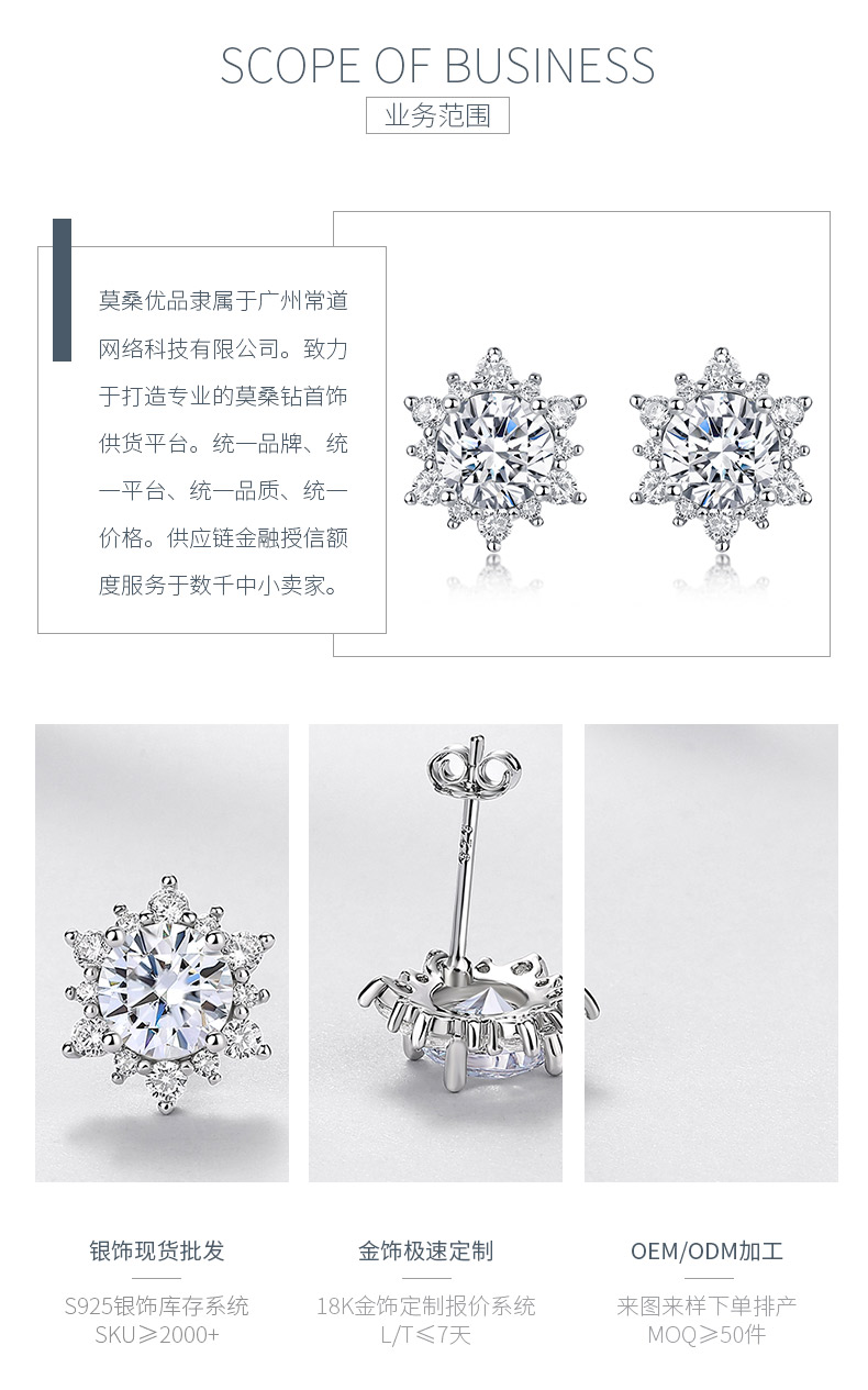 E12535-BMC款银镀18K白金圆形莫桑钻轻奢雪花围镶耳钉2.48ct - 3